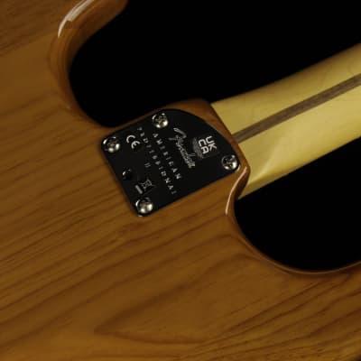 Fender American Professional II Stratocaster - RW RPN (#149) image 10