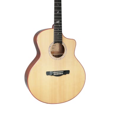 Washburn DC-60e Lexington Acoustic Electric w/Stephens