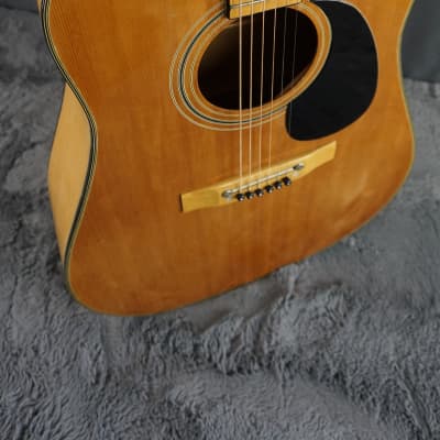 Hondo II Dreadnought Acoustic - Natural Rare Finish for sale