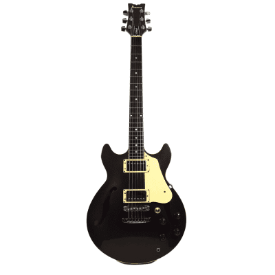 Ibanez AM205 Artist | Reverb