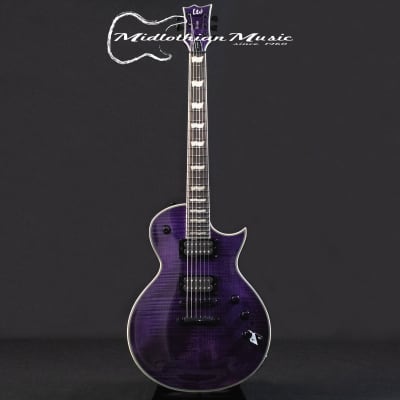 RARE Washburn EC-29 Signature Series Guitar Steven's