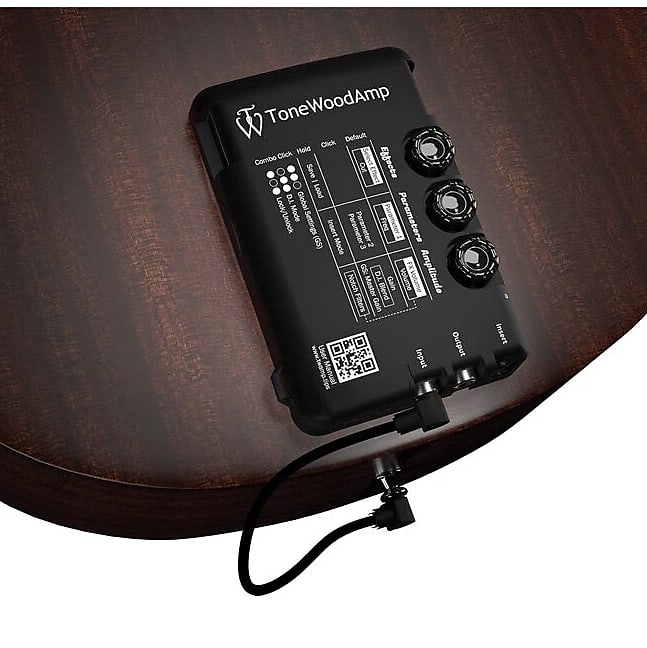 Acoustic tonewood amp hot sale