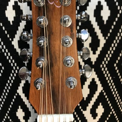 EGB Custom 12-String Acoustic Guitar image 5