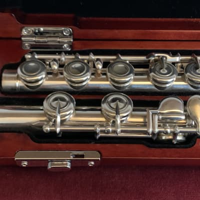 Louis Lot Plated silver, silver riser and lip plate 1895 - Silver plated image 5
