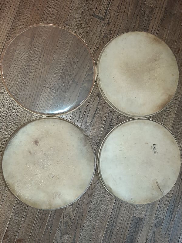 SLINGERLAND RADIO KING 15 INCH CALF SKIN SNARE DRUM HEADS Reverb