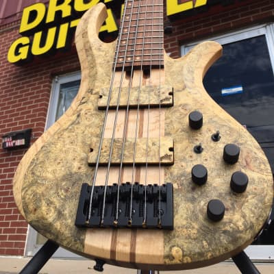 Schecter USA Custom Shop Masterworks Custom Riot-6  Buckeye Burl 6-String Bass w/ Pro Gig Bag NOS image 1