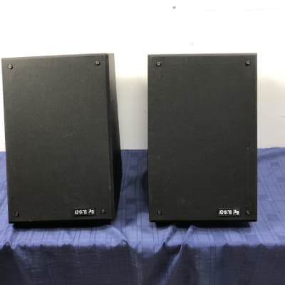 Electro-Voice EV SL10-2V Two-Way Slant Cinema Surround | Reverb