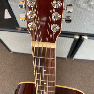 Stellar 12 String Acoustic Electric image 3
