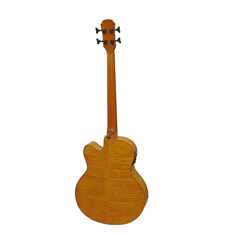 Aria Acoustic-Electric Bass Fretless Medium Scale w/Bag