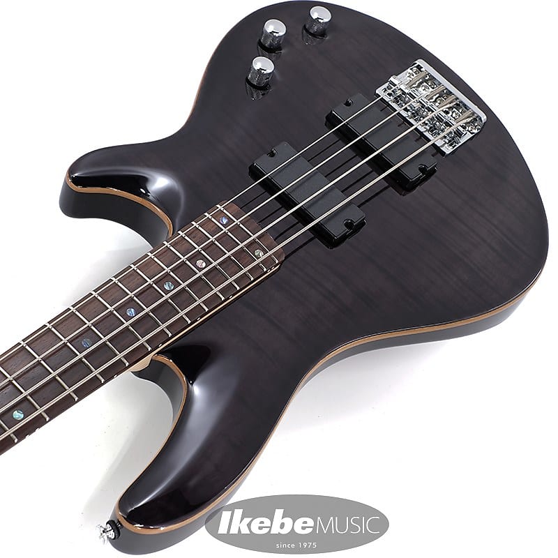 SCHECTER JOL-CT-B-4 (STBK) | Reverb