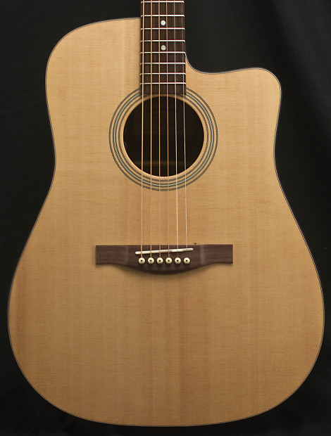 Eastman ac120ce store