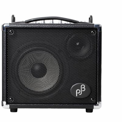 AAD by Phil Jones AG 300 - Black | Reverb