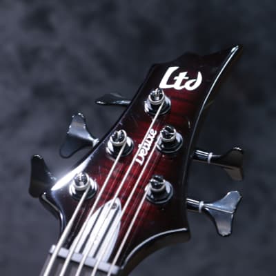 ESP LTD F-1005 See-Thru Black Cherry Sunburst 5-String Electric Bass #W23060302 image 20