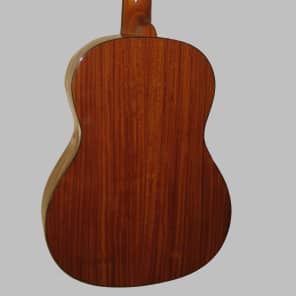 Giannini Classical Guitar All Solid Wood Made in Brazil w/Giannini Gig Bag image 6