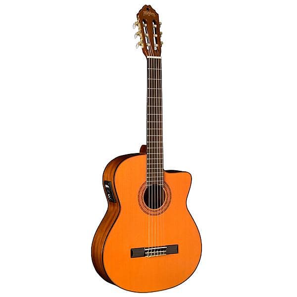 Washburn Classical Acoustic Electric Guitar image 1
