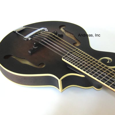 F-Style 12-String Mando-Guitar w/ Hardshell Case image 4