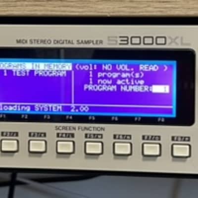 Akai S3000XL v2.00 - 32MbRAM - USB Floppy Drive - New OLED Screen and PiSCSI Installed !!!