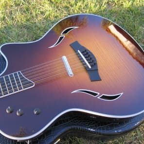 Taylor T5-S1 12 String T5S1-12 2007 Tobacco Sunburst MINT Taylor T5-S1 12 String T5S1-12 2007 Tobacco Sunburst MINT