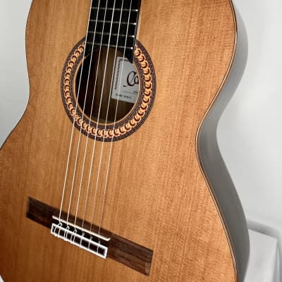 Camps M-6 C Classical Guitar Cedar & Indian Rosewood w/hard case *made in Spain image 3