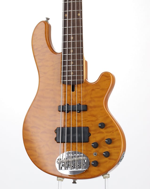 金庫通販LAKE LAND Shoreline Series 55-69 tetsuya Signature Bass ESP