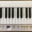 Roland Lucina AX-09 Shoulder 37-Key Digital Synthesizer Keyboard Keytar