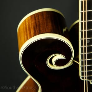 Apitius Classic F-Style Mandolin - Black Cherry Sunburst image 8