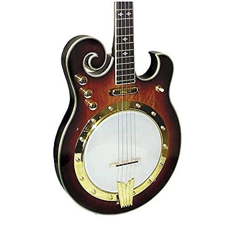 Gold Tone EBM-5 Electric Banjo (Five String, Tobacco Sunburst) image 1