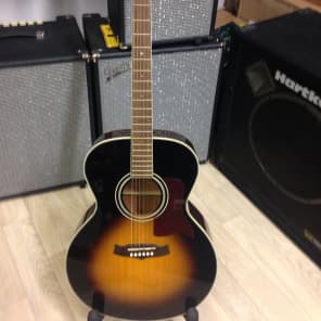 Tanglewood tw60 sales