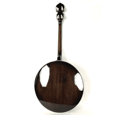 Gold Tone IT-250R 4-String  Irish Tenor Banjo w/ Resonator image 9