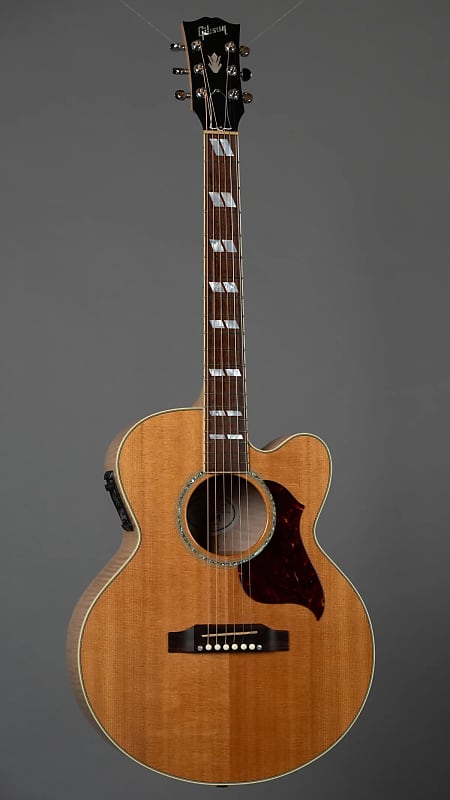 sera Gibson アコースティックギター J-165 EC Gibson Acoustic CJ-165