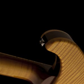 Pre-Order PRS Private Stock Super Eagle John Mayer PRS image 4