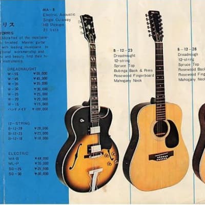 Morris MA-B jazz box / Gibson ES-175 clone, made in Japan around 1970 +/- violin burst image 16