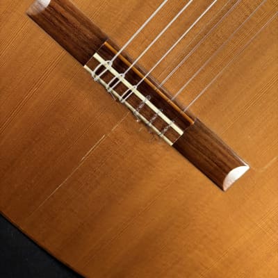 1961 Edgar Monch Classical Guitar image 18