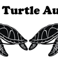 Sea Turtle Audio