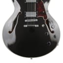 D'Angelico Premier DC - Black Flake with Stopbar Tailpiece (DCPrSTBFd3)