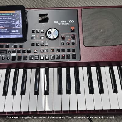 Korg PA1000 61-Key ✅ Professional Keyboard Arranger✅ Cleaned & Full Checked ✅ image 4