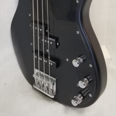 ESP LTD AP-204 Mahogany Top Electric Bass Guitar Natural Satin Black image 2