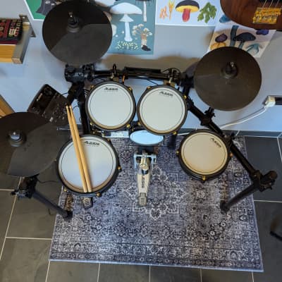 Alesis Surge Mesh Special Edition Electronic Drum Kit 2024 image 9