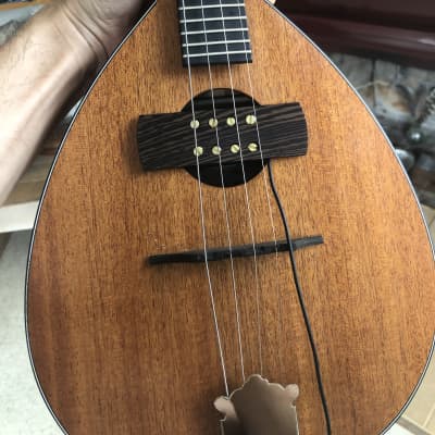 Krivo Mandobucker pickup for mandolin, octave mandolin, tenor guitar, bouzouki: Wenge ebony wood image 4