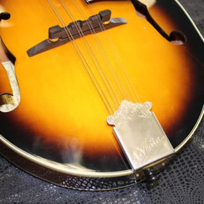 Aria AM-400/BS Mandolin, with Hard Case image 7