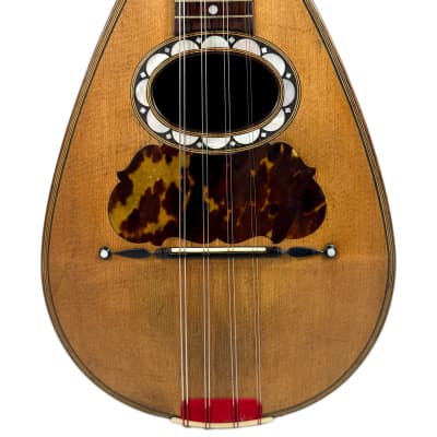 Pasquale Vinaccia Mandolin from 1883 image 2