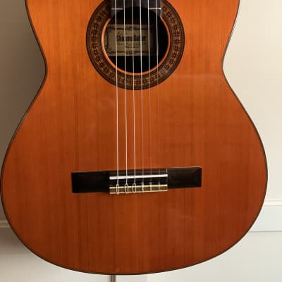 Vintage Shinano LG-65 Classical Guitar - Made In Japan | Reverb