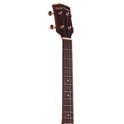Gold Tone Tenor Guitar - B-Stock image 5