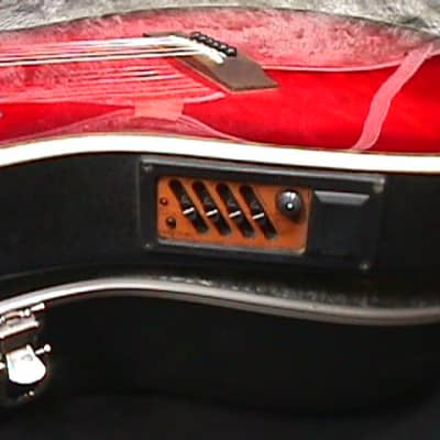 Dillion Acoustic-Electric Beautiful Red Guitar Model  J-135 CEA Ready to Play as-is  23 G image 6