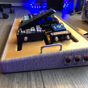 JRIG Pedalboard with Pedaltrain ATA case and pedal bundle image 9