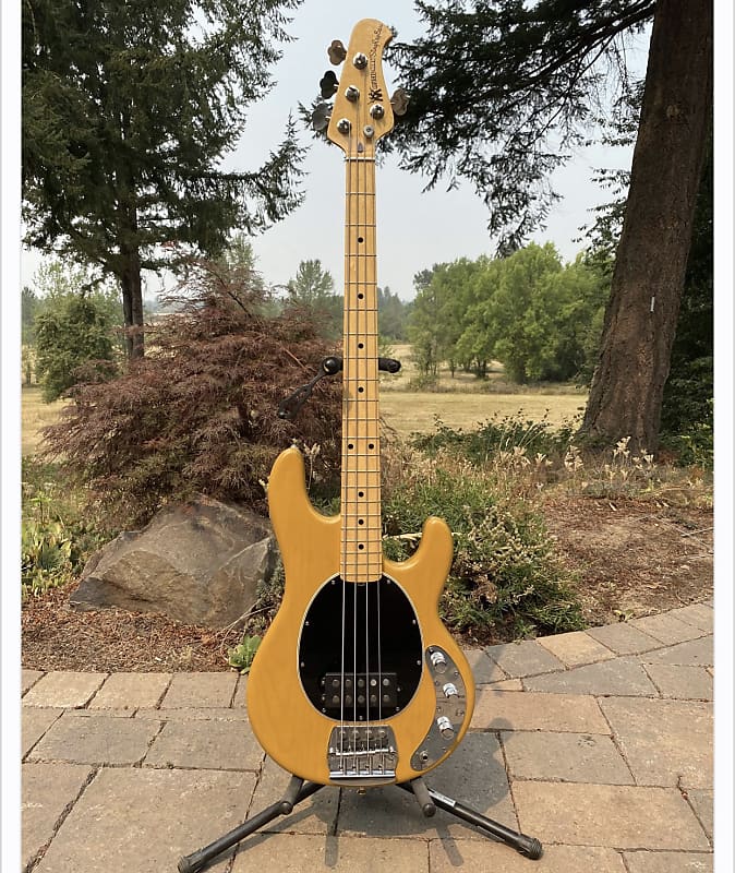 Ernie Ball Music Man Old Smoothie Stingray 2017 Butterscotch Reverb