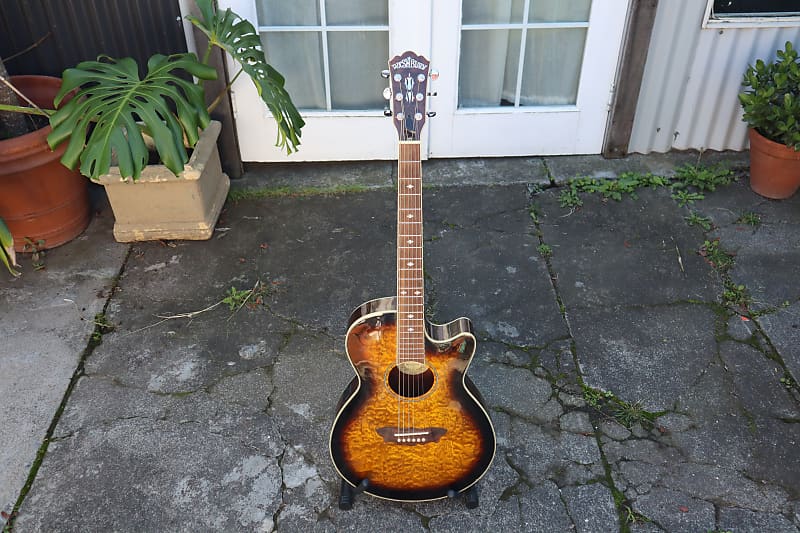 Washburn EA18TS 2003 Tobacco Burst Reverb