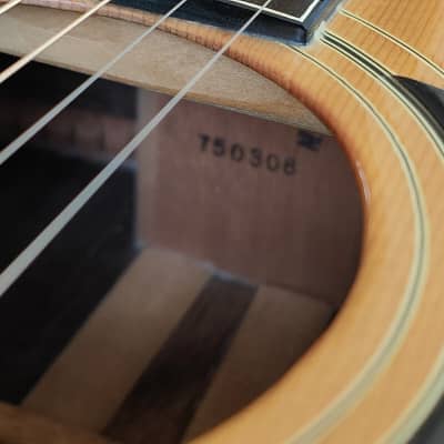 1975 Greco Japan 401 "Heritage Model" Acoustic Guitar image 7