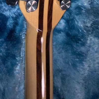 1979-8 Washburn Falcon Model B in Natural Walnut! Excellent Condition! OHSC! image 11