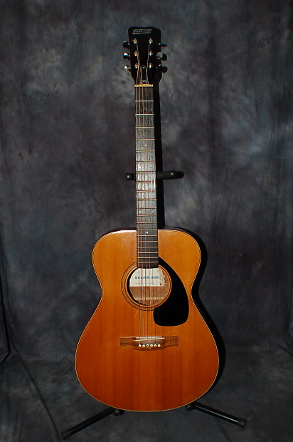 Jack black top acoustic guitar